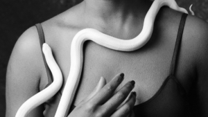 Medusa Featured Image